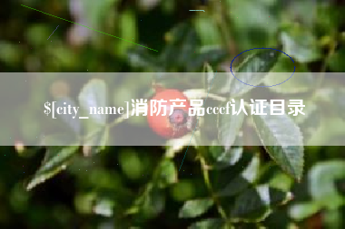长春消防产品cccf认证目录