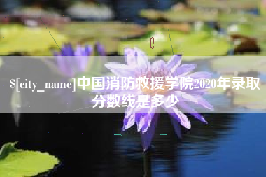 长春中国消防救援学院2020年录取分数线是多少