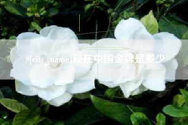 长春现在中国金牌是多少