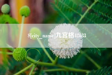 长春九宫格42633