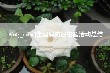 长春全国消防日主题活动总结