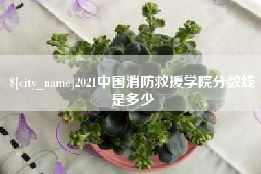 长春2021中国消防救援学院分数线是多少