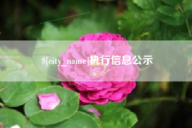 长春执行信息公示