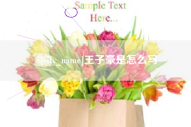 长春王子豪是怎么写