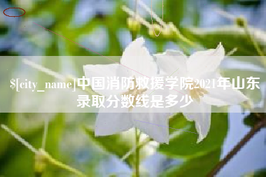长春中国消防救援学院2021年山东录取分数线是多少
