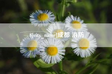 长春成都 消防