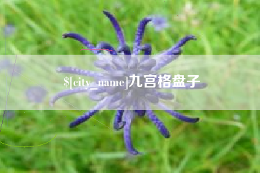 长春九宫格盘子