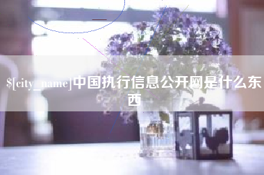 长春中国执行信息公开网是什么东西