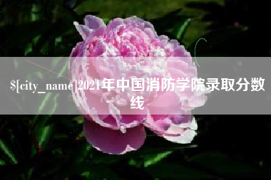 长春2021年中国消防学院录取分数线