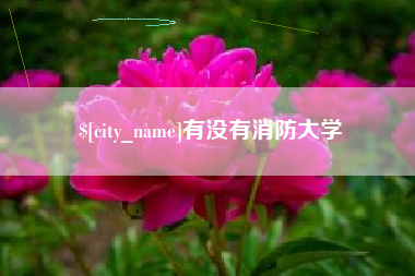 长春有没有消防大学