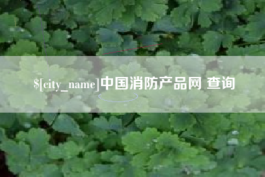 长春中国消防产品网 查询