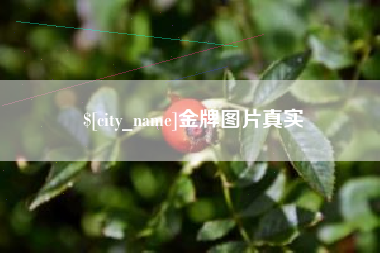 长春金牌图片真实