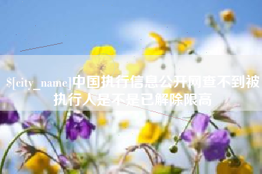 长春中国执行信息公开网查不到被执行人是不是已解除限高