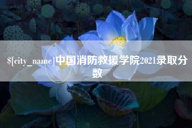 长春中国消防救援学院2021录取分数