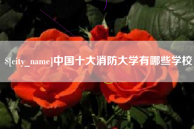 长春中国十大消防大学有哪些学校
