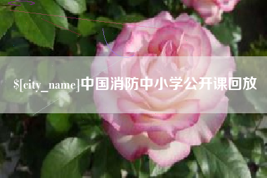 长春中国消防中小学公开课回放