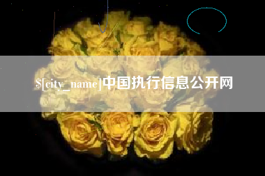 长春中国执行信息公开网