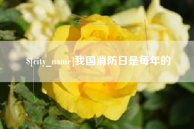 长春我国消防日是每年的