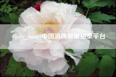 长春中国消防救援招录平台