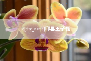 长春邱县王子磊