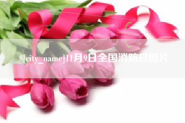 长春11月9日全国消防日图片