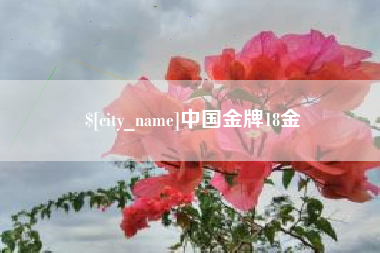 长春中国金牌18金