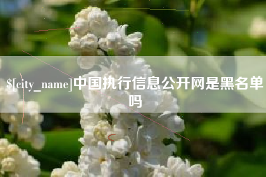 长春中国执行信息公开网是黑名单吗