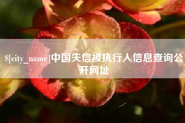 长春中国失信被执行人信息查询公开网址