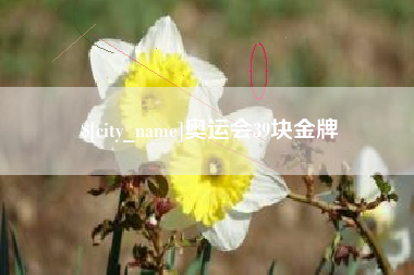 长春奥运会39块金牌