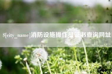 长春消防设施操作员证书查询网址