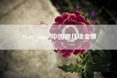 长春中国哪几项金牌