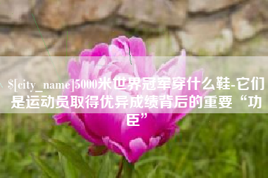 长春5000米世界冠军穿什么鞋-它们是运动员取得优异成绩背后的重要“功臣”
