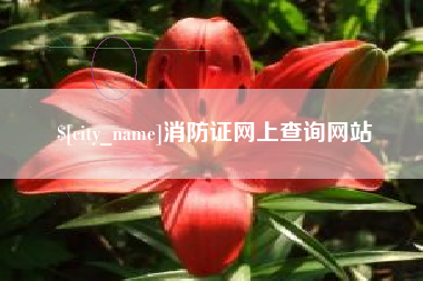 长春消防证网上查询网站