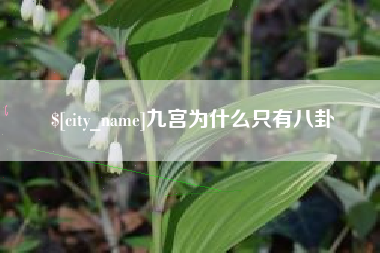 长春九宫为什么只有八卦