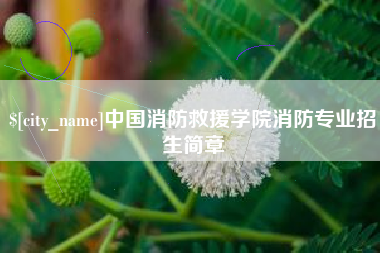 长春中国消防救援学院消防专业招生简章
