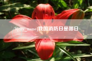 长春我国消防日是哪日