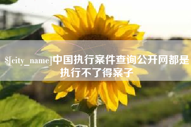 长春中国执行案件查询公开网都是执行不了得案子