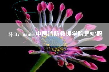 长春中国消防救援学院是985吗