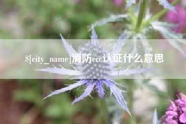 长春消防ccc认证什么意思