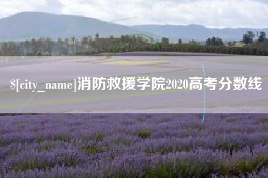 长春消防救援学院2020高考分数线