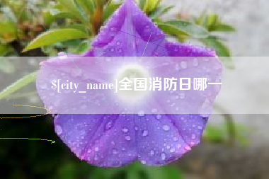 长春全国消防日哪一