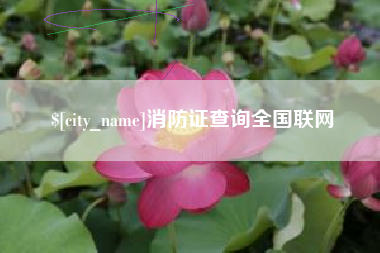 长春消防证查询全国联网