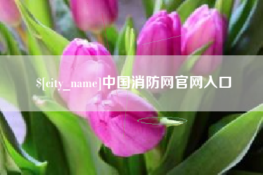 长春中国消防网官网入口