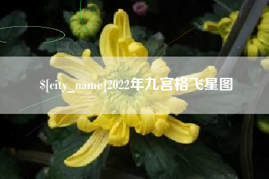 长春2022年九宫格飞星图