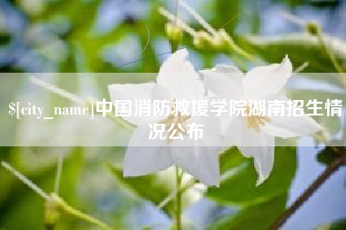 长春中国消防救援学院湖南招生情况公布
