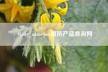 长春ccc消防产品查询网
