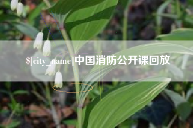 长春中国消防公开课回放