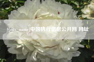 长春中国执行信息公开网 网址