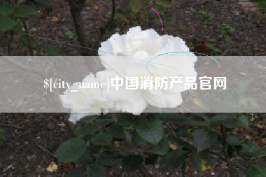 长春中国消防产品官网
