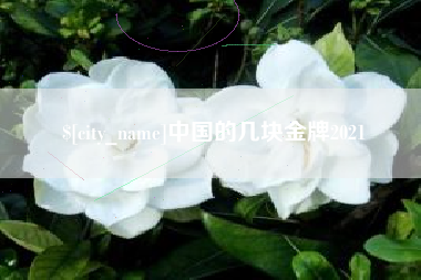 长春中国的几块金牌2021
